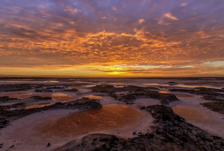 ما الذي يهدد مستنقعات استخراج الملح؟