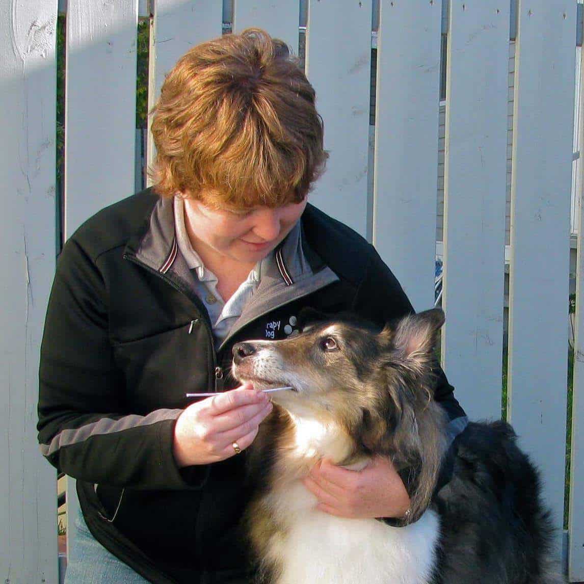 The National Institutes of Health is studying our furry best friends to learn about ourselves