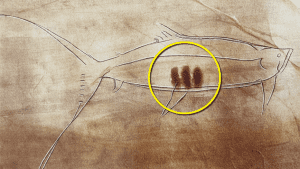 اكتشاف نظام كتابة بدائي قد يكون أقدم من الكتابة المسمارية