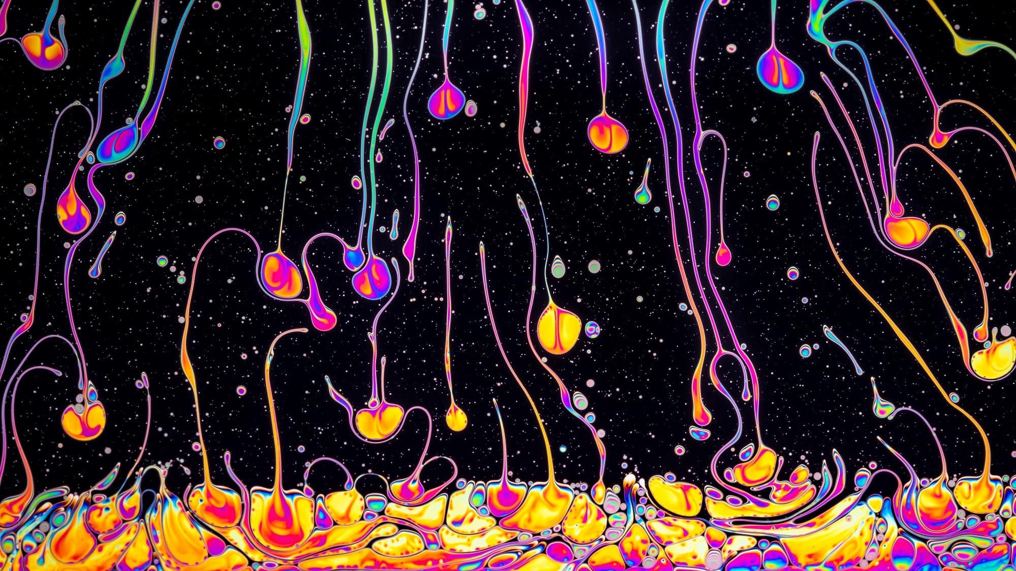 صورة مشاركة في مسابقة التصوير الفوتوغرافي تظهر فقاعات من الصابون بألوان متلألئة على خلفية سوداء