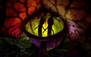 صور مذهلة للحياة البرية لن تصدق أنها التُقطت على الأرض