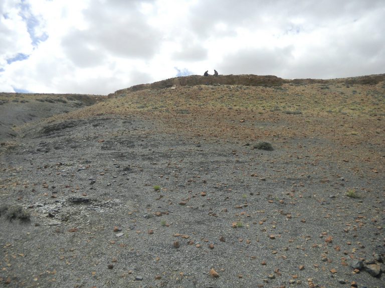 ما علاقة الأشعة فوق البنفسجية بالانقراضات الجماعية على كوكب الأرض؟