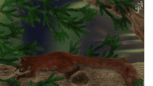 كيف تكيفت هذه الرئيسيات للعيش في القطب الشمالي قديماً