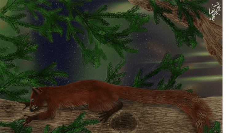 كيف تكيفت هذه الرئيسيات للعيش في القطب الشمالي قديماً