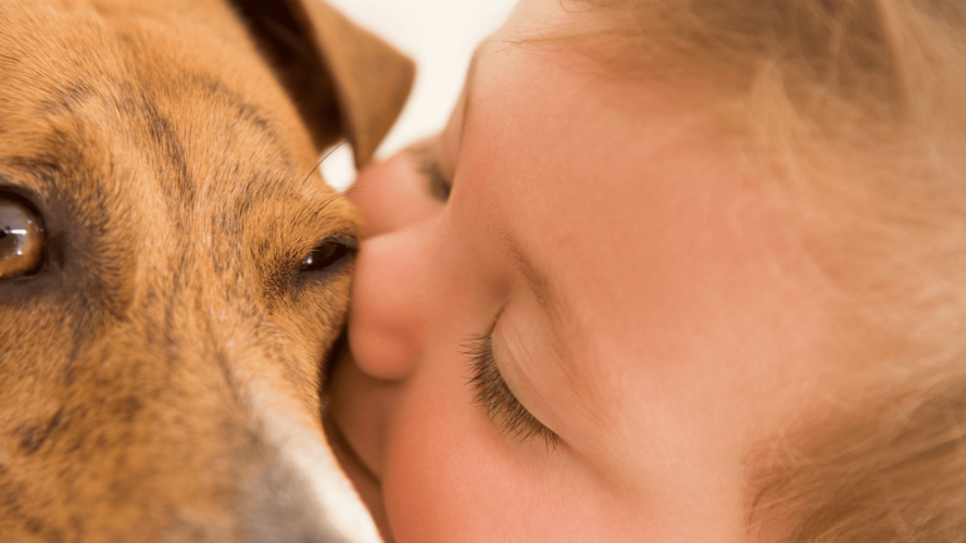 هل يمكن أن يقلل التفاعل مع الحيوانات الأليفة من خطر الإصابة بالتحسس الغذائي؟