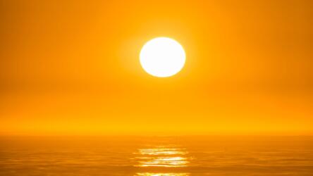 ما هي الفقاعة الحرارية للمحيط الهادئ؟ وكيف تؤثّر في التوازن البيئي البحري؟