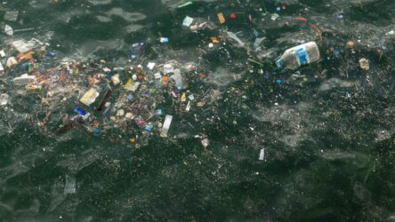 حلول فضائية لمشكلة نفايات المحيطات: كيف تساعدنا التكنولوجيا في الحفاظ على كوكبنا