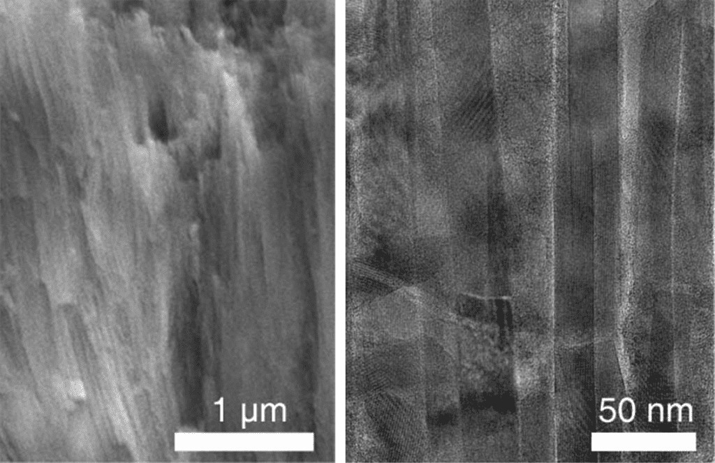 مهندسون ينجحون في تصنيع مينا أسنان اصطناعي أقسى من المينا الطبيعي
