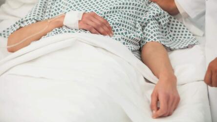 هل يتسبب التغيّر المناخي بازدهار الفطريات الخطيرة؟