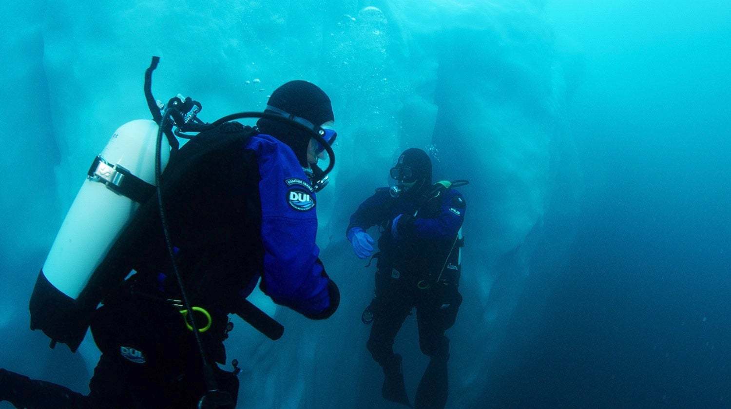 البروتينات المانعة للتجمّد