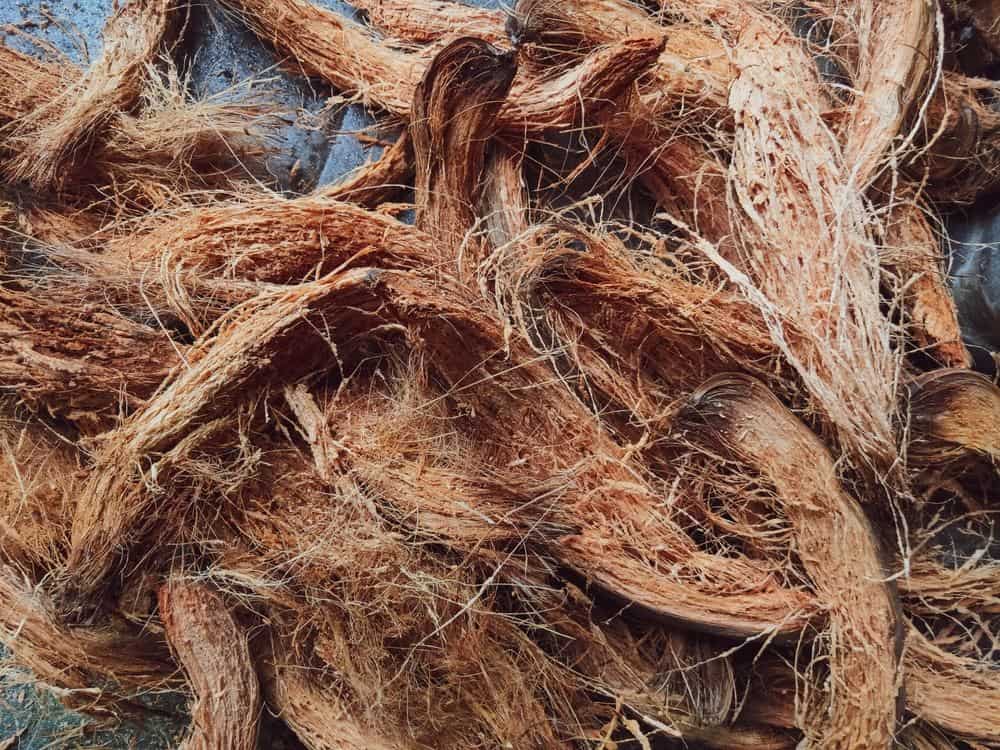 تربة جوز الهند