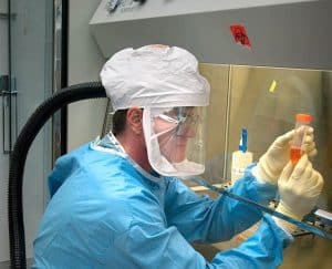 فيروس كورونا, بوبساي, الصحة, أمراض, كورونا نوفل