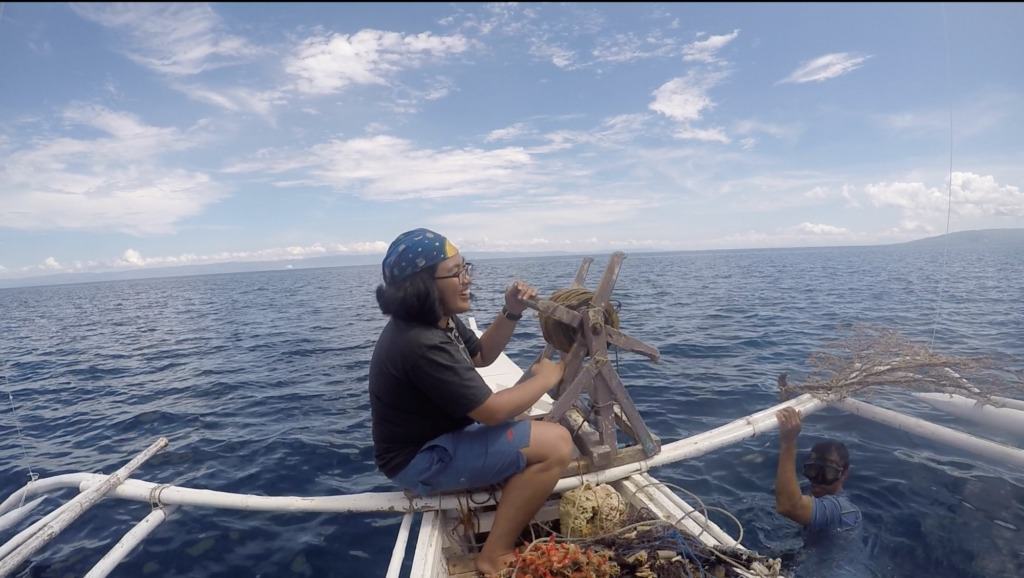 استراتيجيات الصيد الخاصة بالحلزون المخروطي