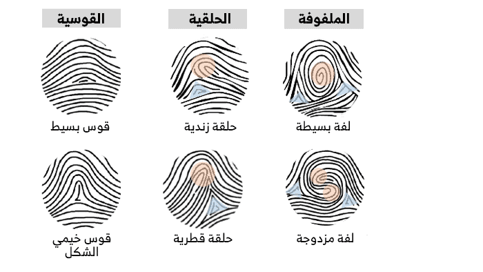 بصمات الأصابع