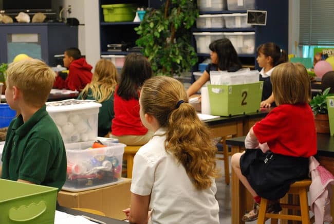 طلاب, دراسة, علوم, بيولوجي, دراسة المواد العلمية