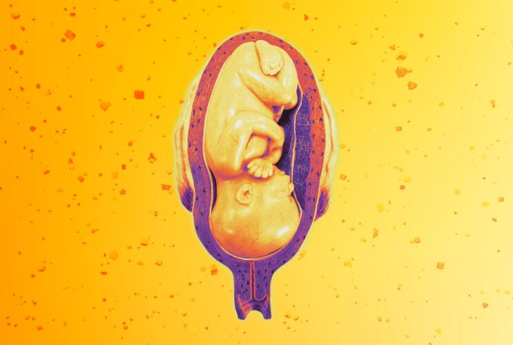 دراسة حديثة تُشير إلى أن البلاستيك وصل إلى الجسم البشري ووُجِد في الزغابات المشيمية