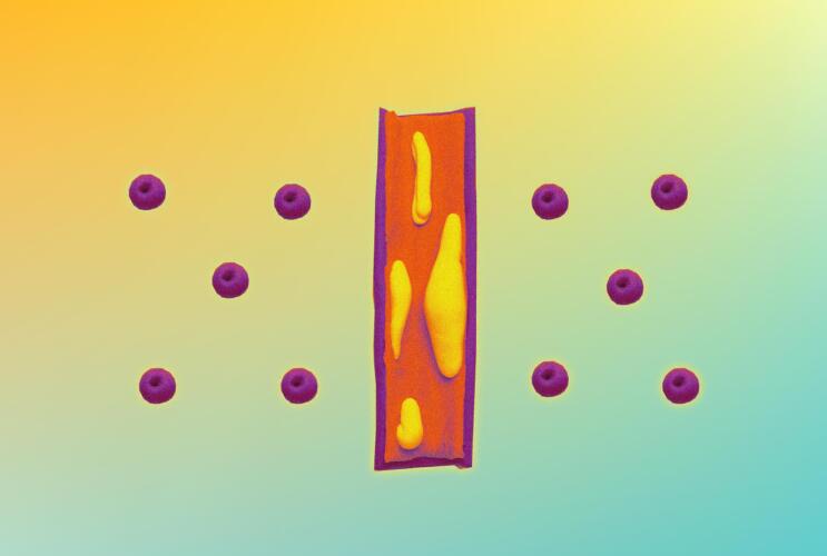 ما تأثير صيام رمضان في مستويات الكوليسترول؟