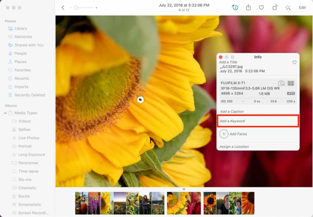 الكلمات المفتاحية، المصطلحات، النصوص الوصفية، العبارات، والتعابير