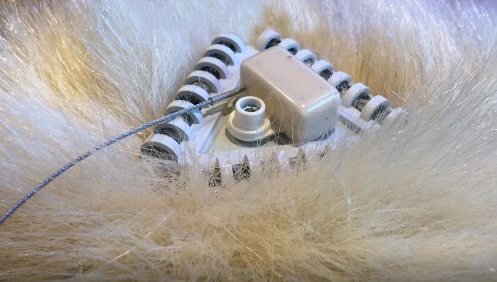 ما تأثير دراسة الدببة القطبية في حدائق الحيوان على تحسين حياتها في البرية؟