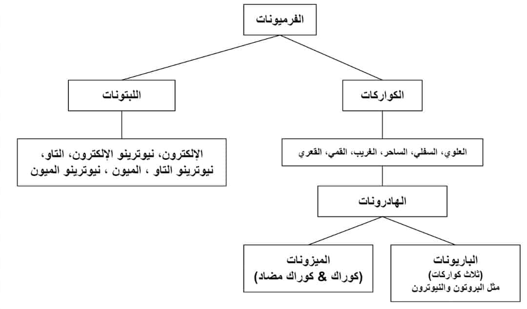 ما هي الفرميونات (Fermions)؟