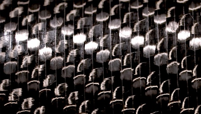 إنتاج ألياف الكربون من النباتات