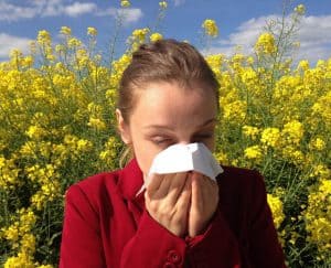 حساسية الربيع, فيروس كورونا, أعراض الحساسية, الجهاز التنفسي