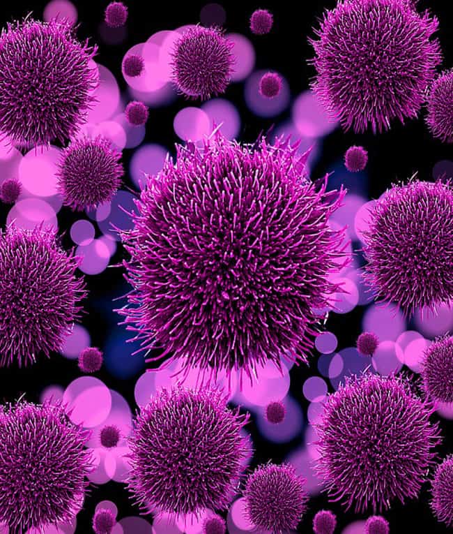 انفلونزا, جراثيم, برد, فصل الشتاء