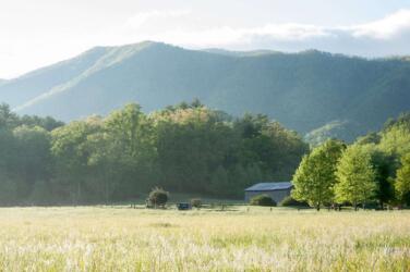لنحتفِ بالقديم: هذا الجهاز القديم للتنبؤ بالزلازل قد يكون الأفضل في العالم