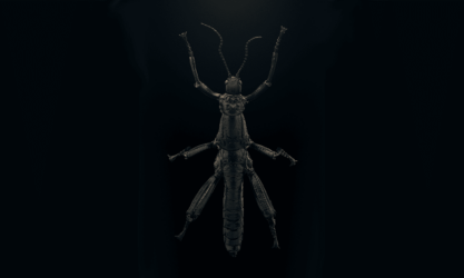 شاهد مجموعة من صور الماكرو تكشف روعة الحشرات والخطر الذي يهددها بالانقراض