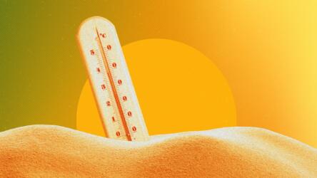 حصاد العلوم اليوم 24 نوفمبر 2024