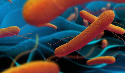 ما حقيقة تفشي حمى التيفوئيد في السعودية؟ وما طرق علاجها والوقاية منها؟