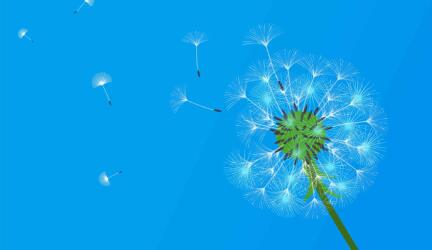 7 نصائح لمنع أعراض حساسية الربيع من الظهور