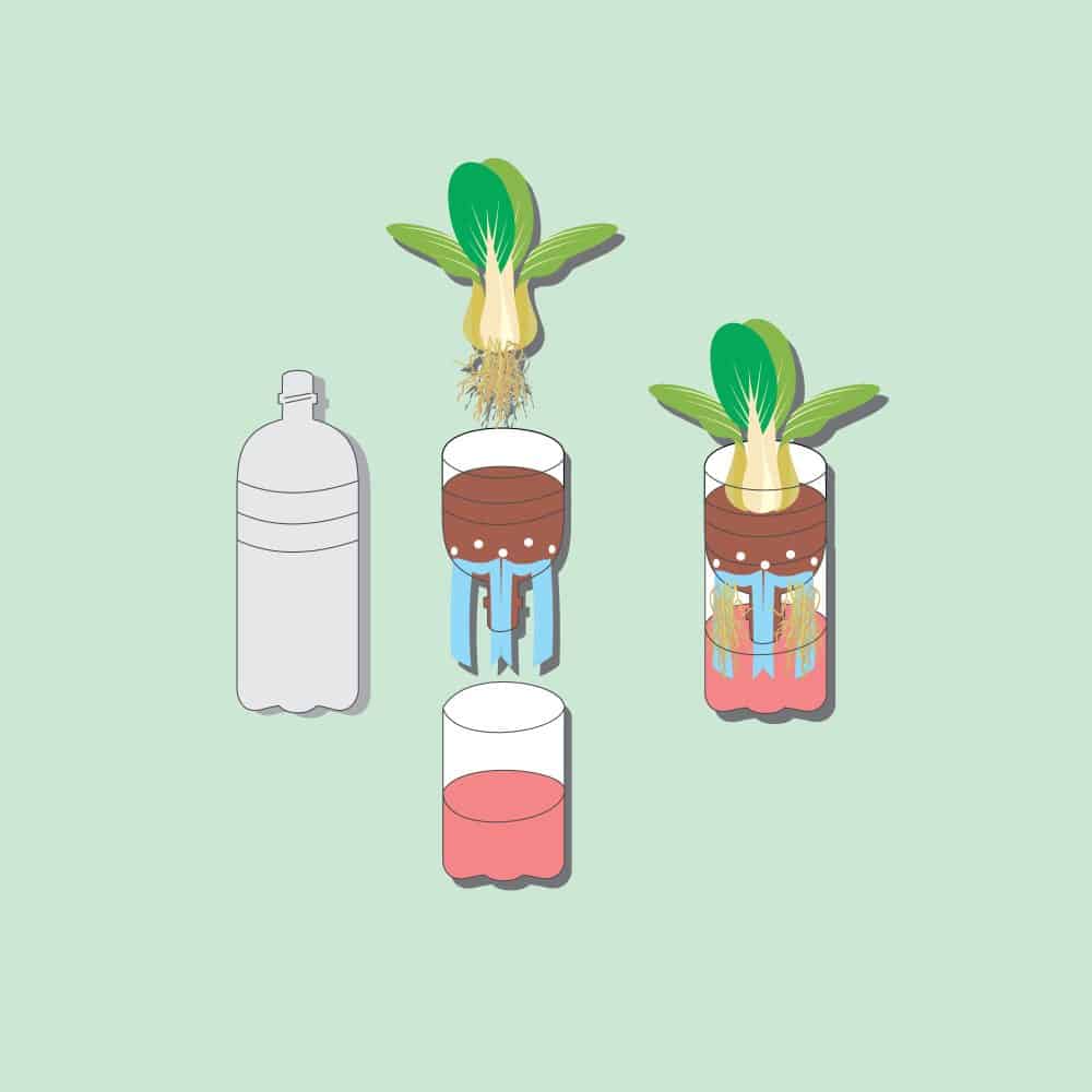 نظام الزراعة المائية بالفتيل