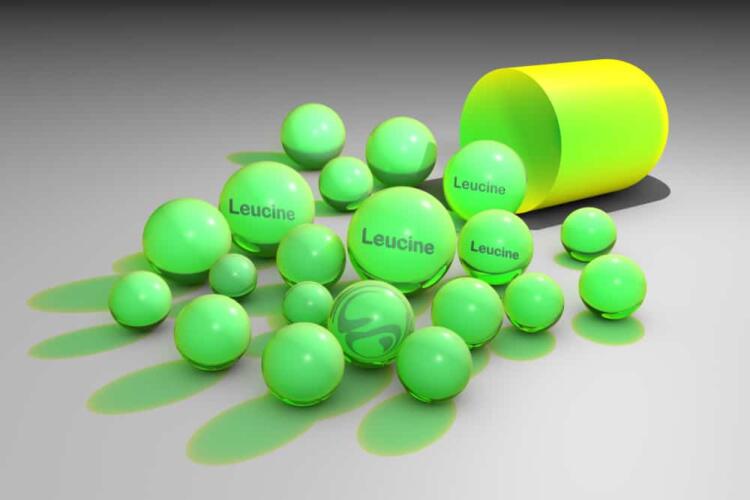 ما هو الليوسين Leucine؟ وفيمَ نستخدمه كمكمل غذائي؟