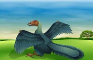 طيور, حفريات