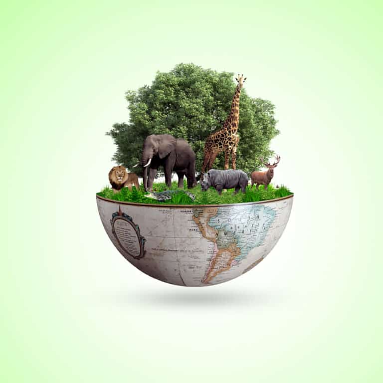 التنوع البيولوجي