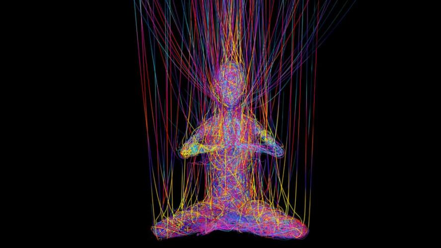 الجهاز العصبي