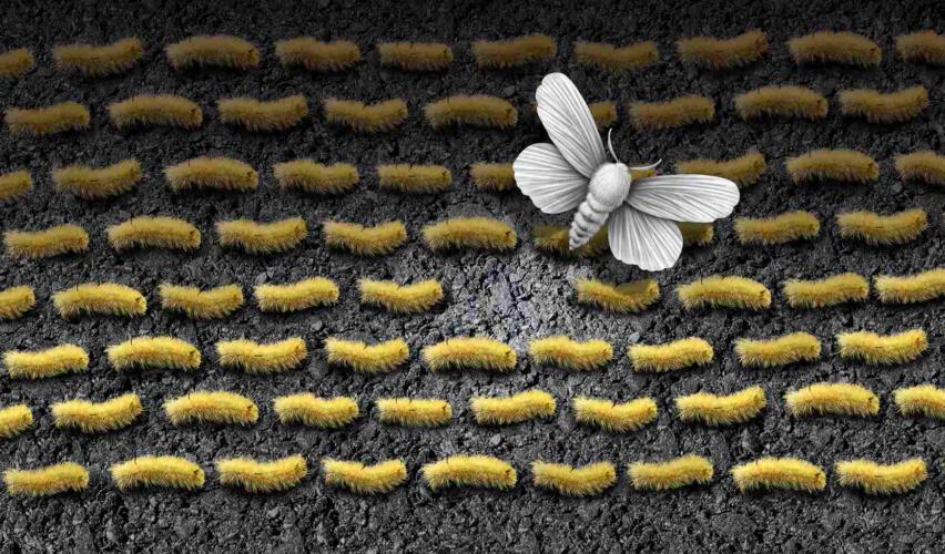 دراسة حديثة: البلوغ المبكر مرتبط بمخاطر أمراض القلب الوعائية لدى البالغين