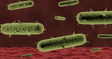 هل قضى الطاعون على نصف سكان أوروبا حقاً؟