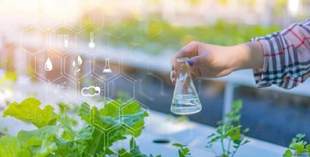 كيف تصنع المحلول الغذائي في الزراعة المائية في المنزل؟