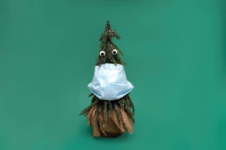 لماذا يعد الشتاء موسم الأمراض وليس الصيف؟