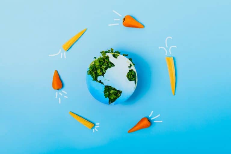 كيف ستؤدي الأنظمة الغذائية المتشابهة إلى أزمات؟