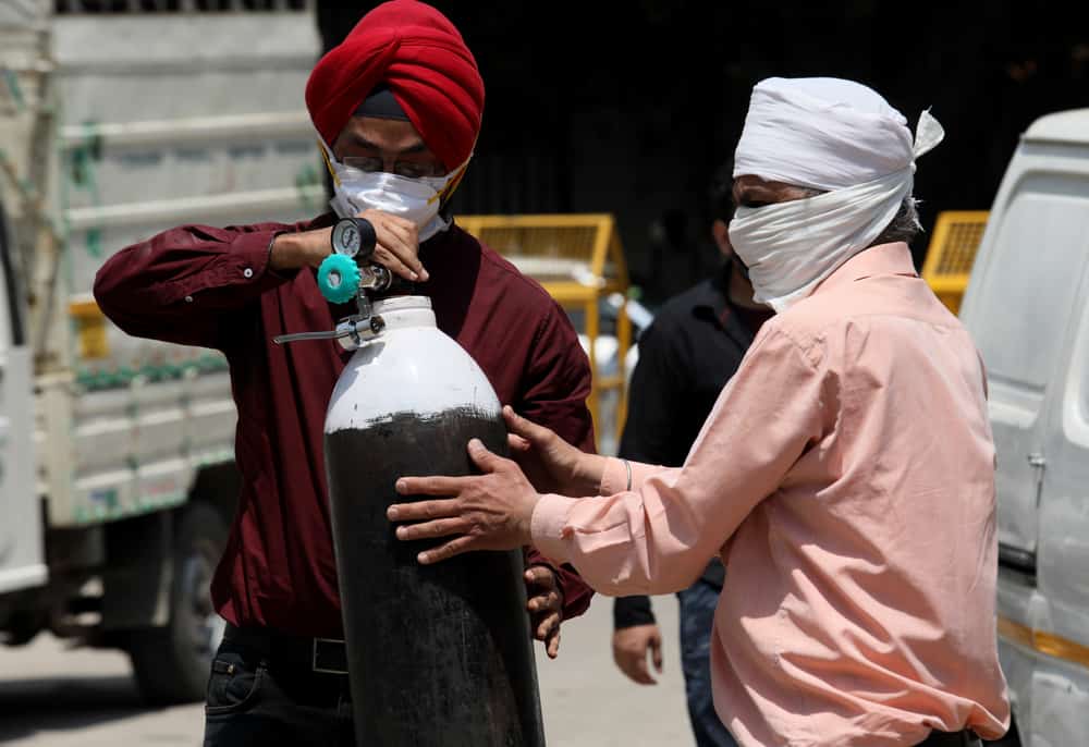 الفطر الأسود