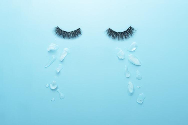 حصاد العلوم اليوم 30 يوليو 2024