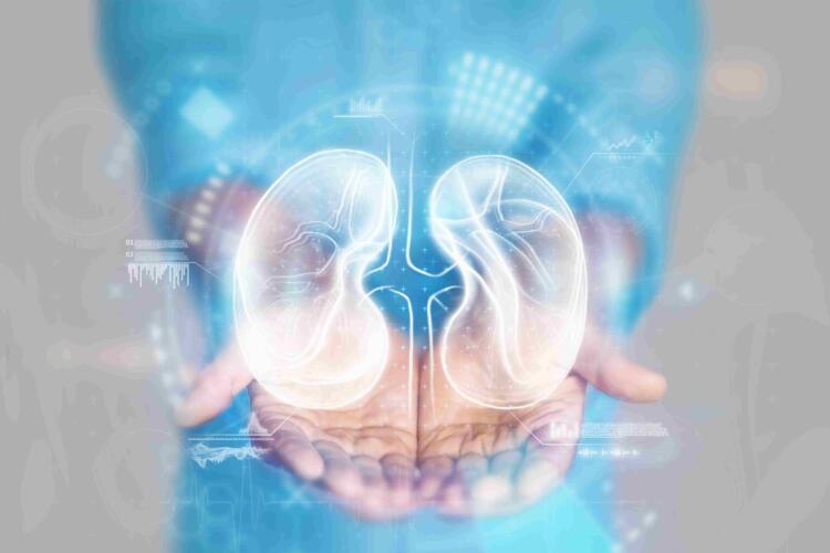 لأول مرة: زرع كلية خنزير معدّلة وراثياً لمريض مصاب بالفشل الكلوي