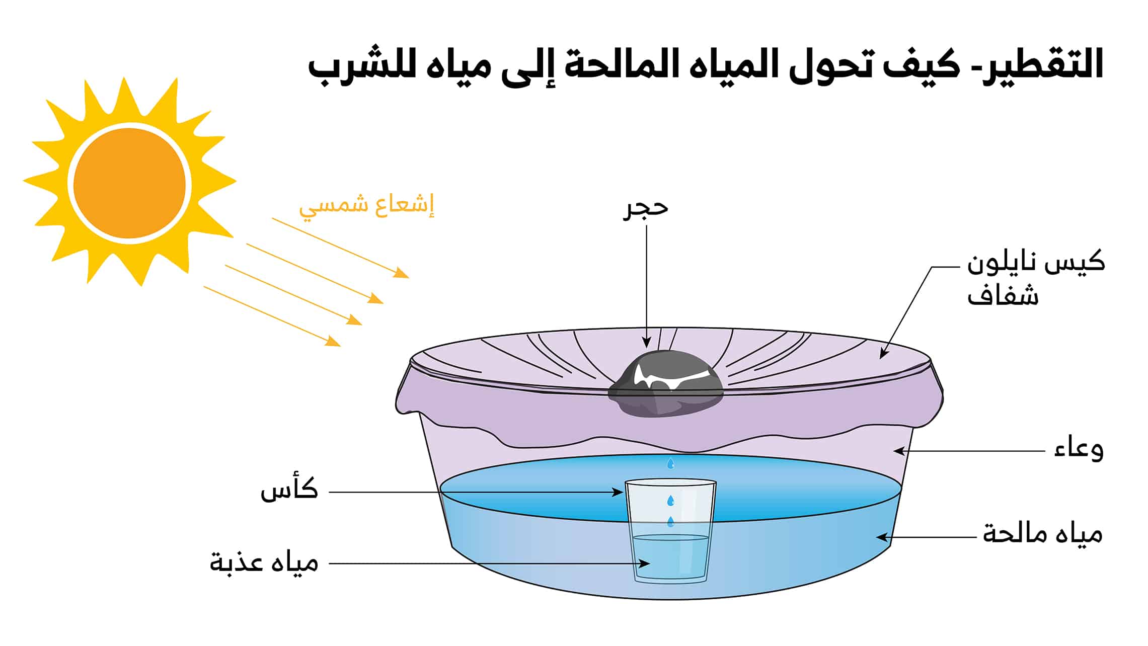 حقوق الصورة: shutterstock.com/ Digi.Pixel