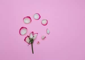 الفرق بين الإفرازات المهبلية أثناء الحمل وإفرازات الدورة الشهرية