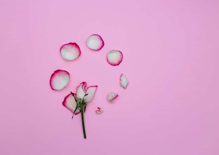 الفرق بين الإفرازات المهبلية أثناء الحمل وإفرازات الدورة الشهرية