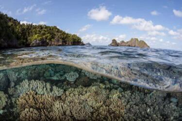 10 معلومات لا يعرفها كثيرون عن التنوع البيولوجي في الشرق الأوسط وشمال إفريقيا والعالم
