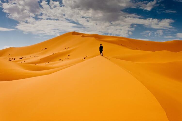 دليلك للبقاء على قيد الحياة في الصحراء